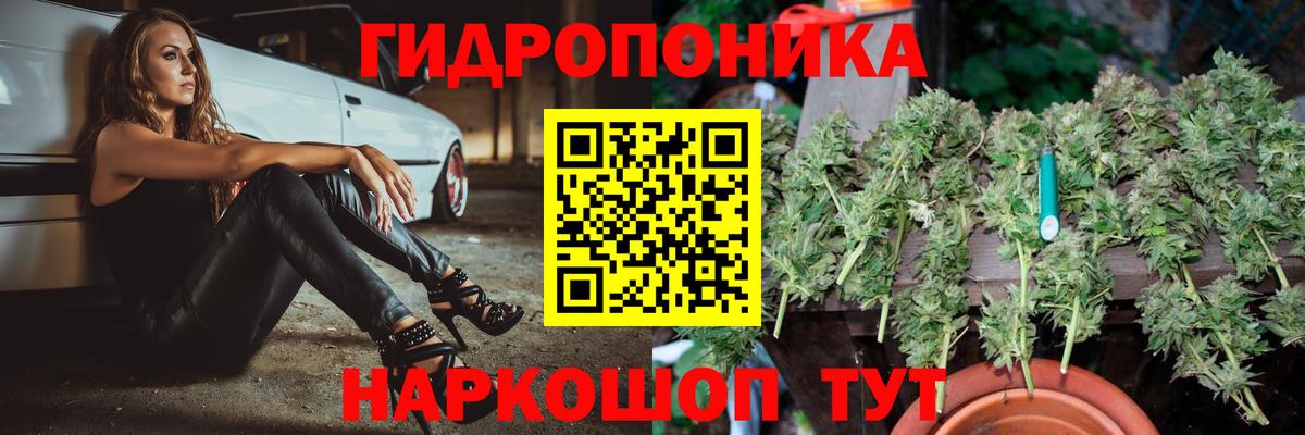 Марихуана марихуана  Вход с VPN  Бердск  Шишки марихуана марихуана  Шишки марихуана SATIVA & INDICA 